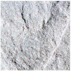 S005