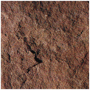 S006B