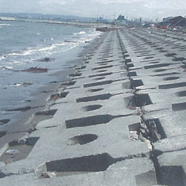 声问渔港海岸