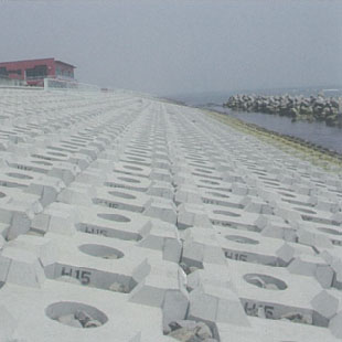 白老海岸