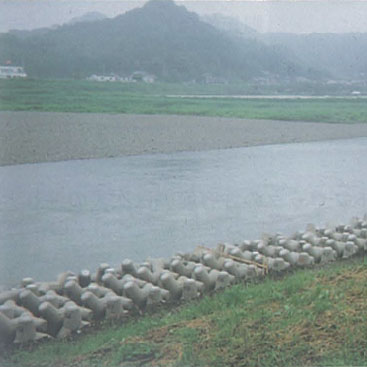 大分县·大野川