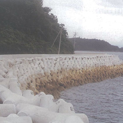 町道2号线（樋之岛）