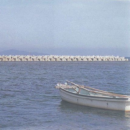 淀江海岸今津地区
